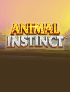 betmxs-playtech-33.png